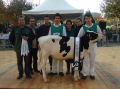 2º Concurso da Raça Holstein Frísia